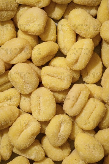 Top view of uncooked frozen gnocchi dusted with flour, closely packed and showing clear indentations, ideal for Italian cuisine themes