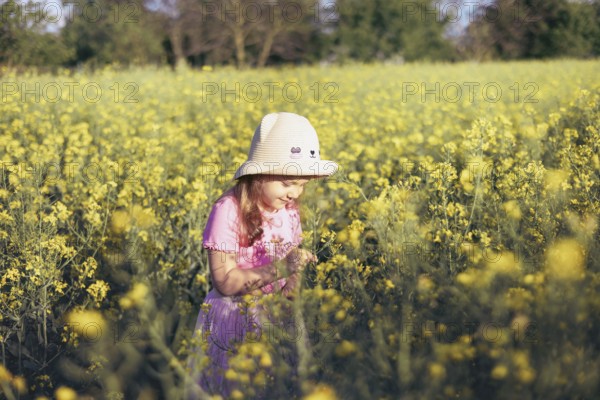 Four-year-old girl in a flowery field in summer Children and nature