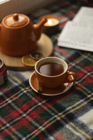 Warm and inviting scene featuring a cup of tea, teapot, and plaid blanket. Soft lighting creates a cozy atmosphere, perfect for relaxation and reading by candlelight