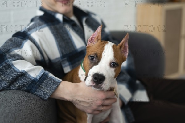 A cropped unrecognizable man in a flannel shirt holds a white and tan dog in a cozy home setting, displaying a close bond