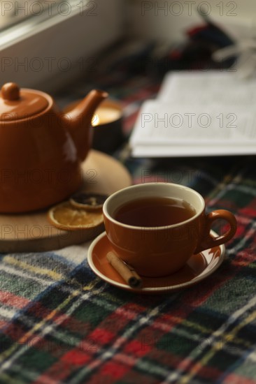 Warm autumn scene with a orange teapot and cup arranged on a plaid blanket, accompanied by an open book. Cinnamon stick and dried orange slice add seasonal charm