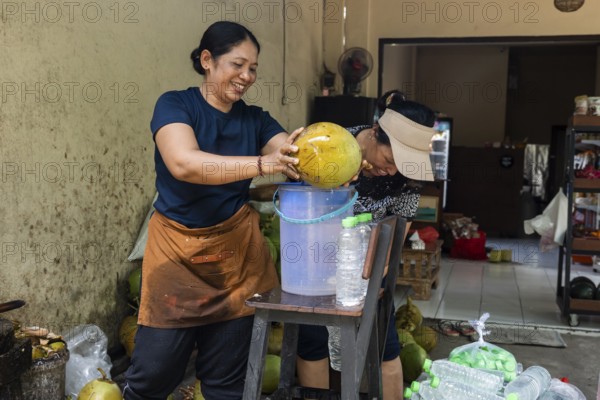 Two cheerful women open a coconut to extract fresh coconut water, surrounded by tools and bottles, in a rustic indoor setting, highlighting traditional practices