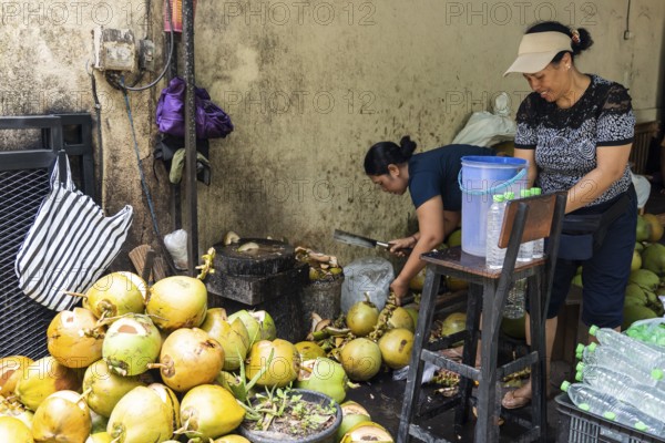 Two women processing coconuts in an urban setting. One uses a machete to expertly open coconuts, while the other prepares them for sale in bottles. A bustling scene of tropical fruit trade