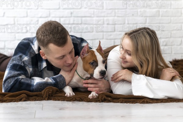 A young man and woman lovingly interact with their white and brown Staffordshire Terrier puppy dog, showing affection and companionship in a cozy home setting