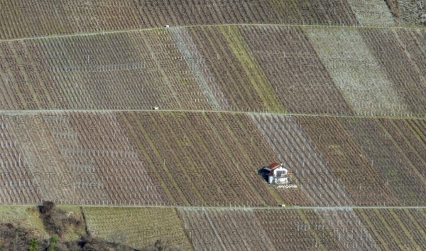 A stunning aerial shot of a Swiss vineyard with neatly arranged rows of grapevines. A small house sits in the center, adding charm to the rural landscape in late autumn