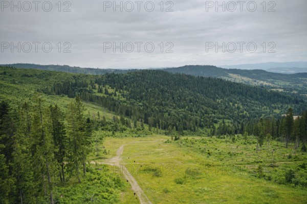 Panoramic view of Bachledka Ski & Sun area located in Zdiar, opposite the Belianske Tatras in Slovakia, showcasing lush green meadows and dense forests under an overcast sky