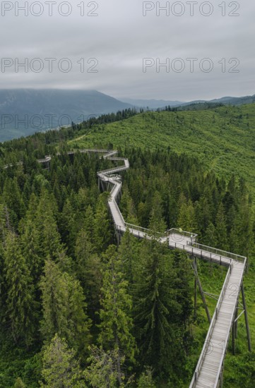 An aerial view of an elevated wooden walkway meanders through lush green forests of Bachledka in Slovakia, opposite the scenic Belianske Tatras, providing stunning views and a unique nature experience