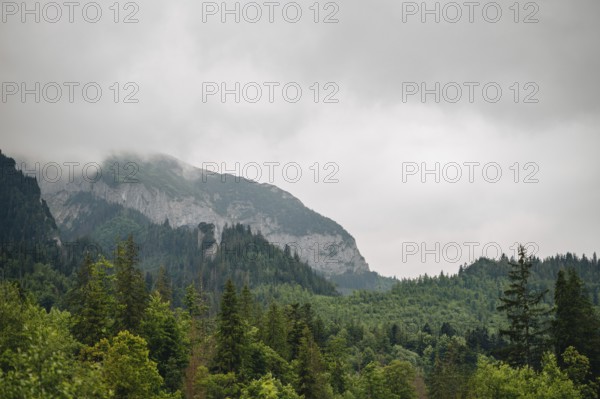 A serene view of a mist-shrouded mountain peak above a lush forest in Bachledka, Slovakia, near Bachledka Ski Sun and facing the Belianske Tatras