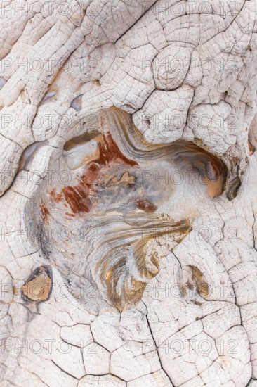 Close-up image showcasing the stunning, abstract patterns of eroded red and white rocks, highlighting intricate textures and natural designs formed over time