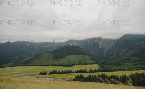 Scenic view of the verdant meadows and foggy peaks in Bachledka Ski Sun region, overlooking the Belianske Tatras in Slovakia