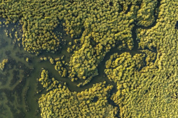 Aerial photograph showcasing the verdant sprawl and intricate waterways of the Guadalquivir Marshes, capturing the natural beauty and ecological diversity of the region