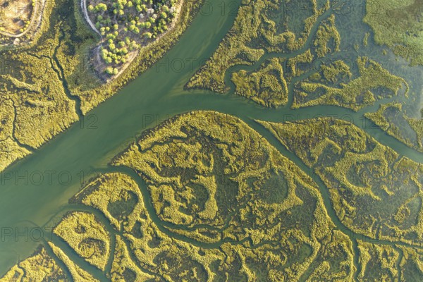 Aerial photograph capturing the intricate waterways and verdant foliage of the Guadalquivir Marshes, highlighting its natural beauty and complex ecosystem