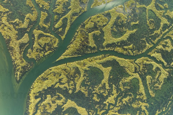 An aerial shot capturing the intricate patterns and vivid colors of the Guadalquivir Marshes, showcasing the natural beauty and ecological complexity of this marshy region near the Guadalquivir River