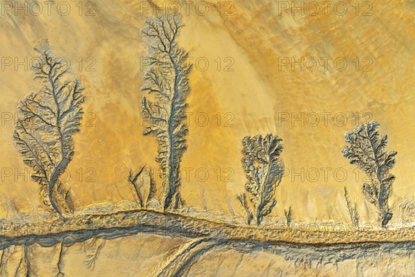 Explore intricate fractal patterns in natural mud textures, displaying an artistic blend of lines and shapes. Perfect for backgrounds or nature-inspired designs