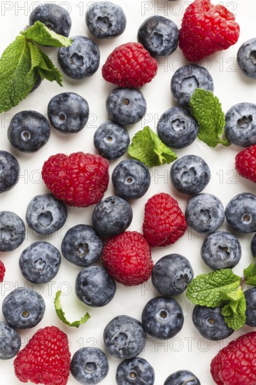 Top view of fresh blueberries and raspberries neatly arranged with sprigs of mint. Ideal image for food and nutrition themes