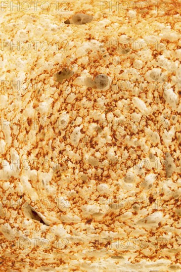 Detailed close-up of a toasted bread slice, showcasing a golden crispy crust with air pockets and grain details, perfect for backgrounds and food-related content