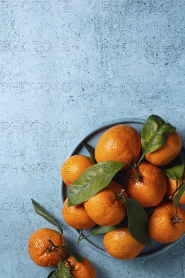 Fresh tangerines with vibrant green leaves arranged on a textured blue surface, creating a visually appealing contrast. Ideal for themes of freshness and simplicity
