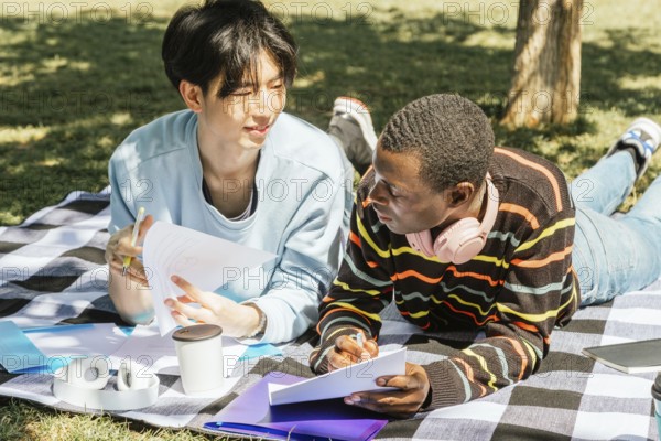 Two friends studying together on a picnic blanket outdoors. They are discussing notes, surrounded by documents and technology, enjoying a sunny day in a park setting