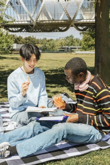 Two friends enjoy a sunny day in the park, sharing snacks and studying on a picnic blanket. With books and carrot sticks, they combine learning and leisure