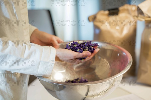A person in a lab coat holds dried mallow flowers over a metal bowl, demonstrating the preparation process for a natural infusion. Brown paper bags are visible in the background