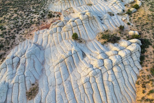 Aerial view of stunning white rock formations resembling waves in an arid landscape in White Pocket. Sparse vegetation adds contrast to the rugged, cracked surface pattern in Arizona, USA