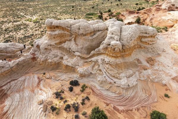 Aerial view of a sandstone rock formation displaying intricate patterns and textures in an expansive desert landscape in White Pocket. Vegetation sparsely dots the arid terrain in Arizona, USA