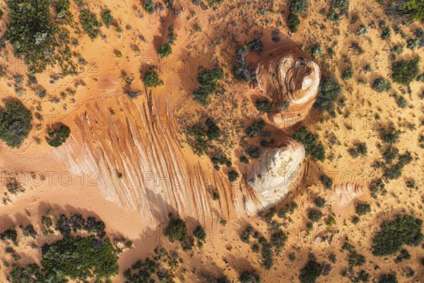 Aerial shot showcases a desert landscape with unique rock formations and contrasting vegetation in White Pocket. The rich orange and brown tones create a striking visual effect in Arizona, USA