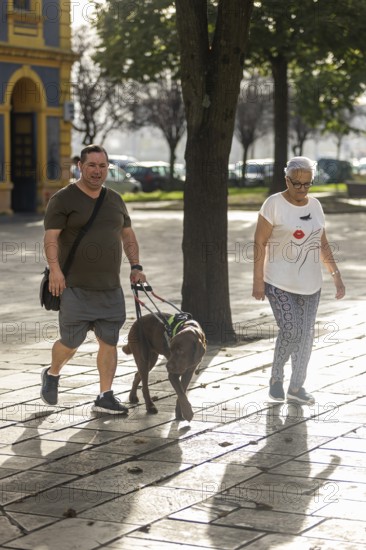 A blind man and senior woman strolls through a sunlit park with their leashed dog. The man and woman enjoy the pleasant weather, casting long shadows on the ground as they walk side by side
