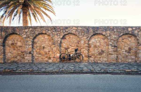 A bicycle leaning against an ancient stone wall under a palm tree, capturing the peaceful ambiance of Zahara de los Atunes, Cadiz