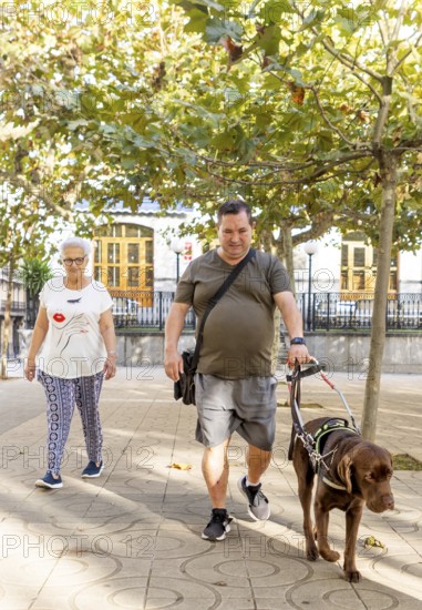 A blind man with a guide dog strolls through a sunlit park, accompanied by a woman. The scene depicts inclusion and companionship amidst a backdrop of vibrant trees