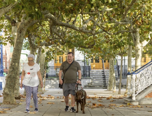 A blind man with a guide dog and a senior woman stroll under vibrant trees in an urban park. The setting is serene, with scattered leaves and ornate architecture