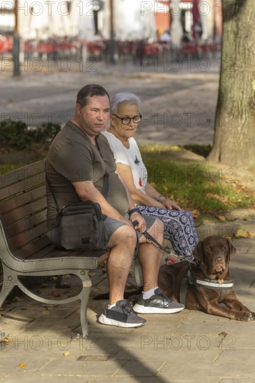 A blind man and an elderly woman sit on a park bench, enjoying the outdoors with a guide dog by their side. The scene captures a serene moment in a leafy park