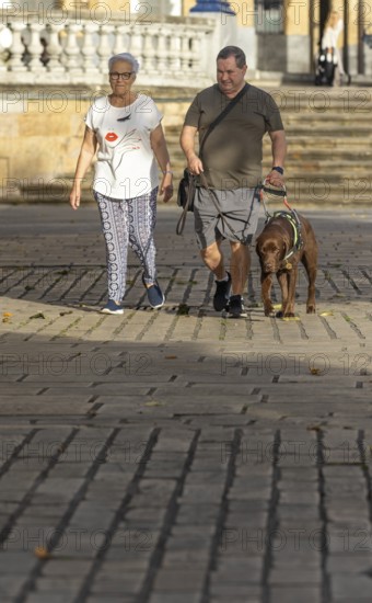 A blind man and senior woman walks together on a sunny day, accompanied by a guide dog. They stroll comfortably along a stone paved path, enjoying the pleasant weather