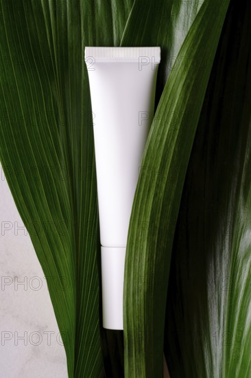 A clean and simple white cosmetic tube positioned elegantly among fresh, green tropical leaves, embodying natural beauty and skincare wellness