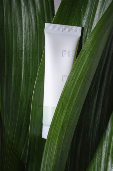 A blank white cosmetic tube elegantly placed among vivid green leaves, symbolizing natural and eco-friendly skincare
