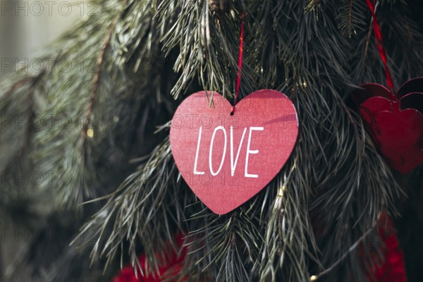 Red heart-shaped paper with LOVE written, hanging on an evergreen tree branch. Perfect for capturing the essence of romance and Valentine's Day