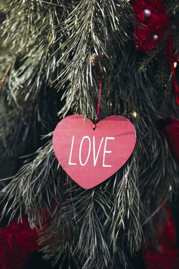 A red heart-shaped ornament with the word LOVE hanging among lush green pine tree branches, capturing the essence of romance and nature. Ideal for Valentine's Day