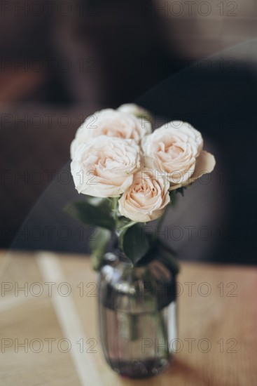 A delicate bouquet of blush roses arranged in a clear glass vase, creating a romantic and serene ambiance, perfect for Valentine's Day or any special occasion