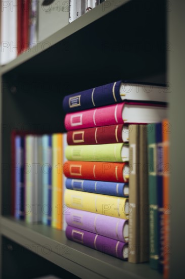 Vibrant and neatly arranged books occupy shelves in a contemporary library setting, showcasing an array of colors and sizes. Perfect photograph for educational and literary concepts