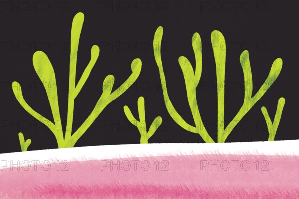 An eye-catching abstract illustration featuring vivid green plant like shapes on a stark black background, contrasted with a bold pink stripe