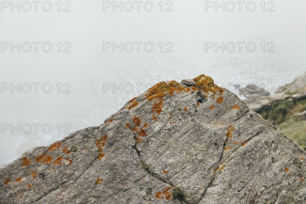 A close-up of a rocky cliffside covered in patches of orange moss in Finisterre. The cliff overlooks a misty ocean view, creating a serene and atmospheric landscape scene