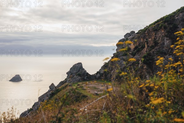 A breathtaking coastal cliff adorned with vibrant yellow wildflowers, overlooking a tranquil sea during sunset. The scene captures the serene beauty of nature in Finisterre with a distant rocky island under a cloudy sky