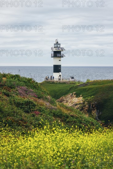 A picturesque lighthouse stands tall on a coastal cliff, overlooking the serene ocean. Bright yellow flowers bloom in the foreground, enhancing the natural beauty of the scene