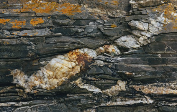 A detailed close-up of a rock surface showcasing colorful mineral deposits and intricate cracks. The weathered texture and layered patterns highlight geological processes and natural beauty