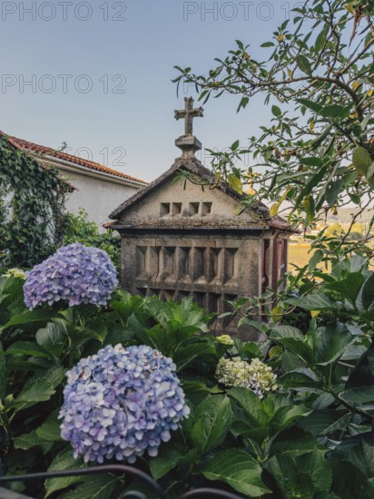 A stone structure Horreo topped with a cross stands amidst a lush garden. Vibrant hydrangea flowers bloom in the foreground, with leafy branches framing the scene. The setting evokes a sense of tranquility and timeless beauty