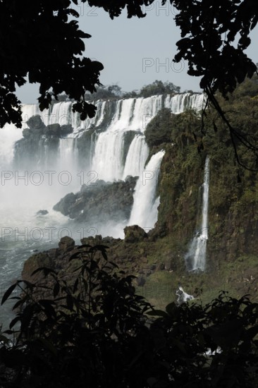 Captivating photo of Iguazu Falls framed by dark foliage, showcasing multiple cascades amid verdant nature