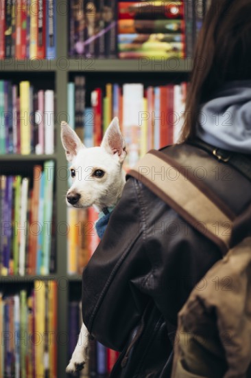 A small, white dog peeks over a young woman shoulder in a bookstore filled with colorful books. The cozy atmosphere and curious pet create a warm, inviting scene