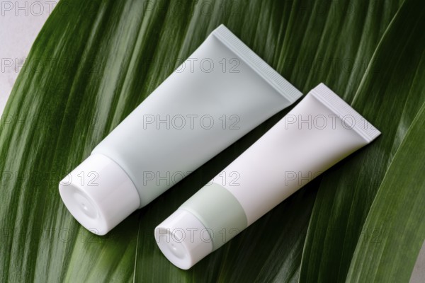 Two minimalist, white and green cosmetic bottles rest on the glossy surface of a vibrant green leaf, representing eco-friendly skincare products