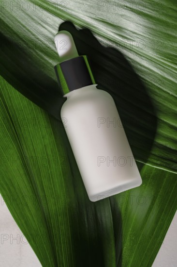 A sleek white cosmetic bottle with a green dropper nestled among fresh green leaves, symbolizing natural skincare beauty