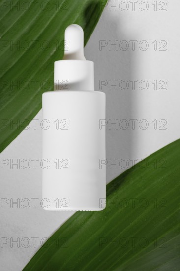 Minimalist presentation of a white dropper bottle lying on vibrant green leaves, highlighting its eco-friendly and natural appeal